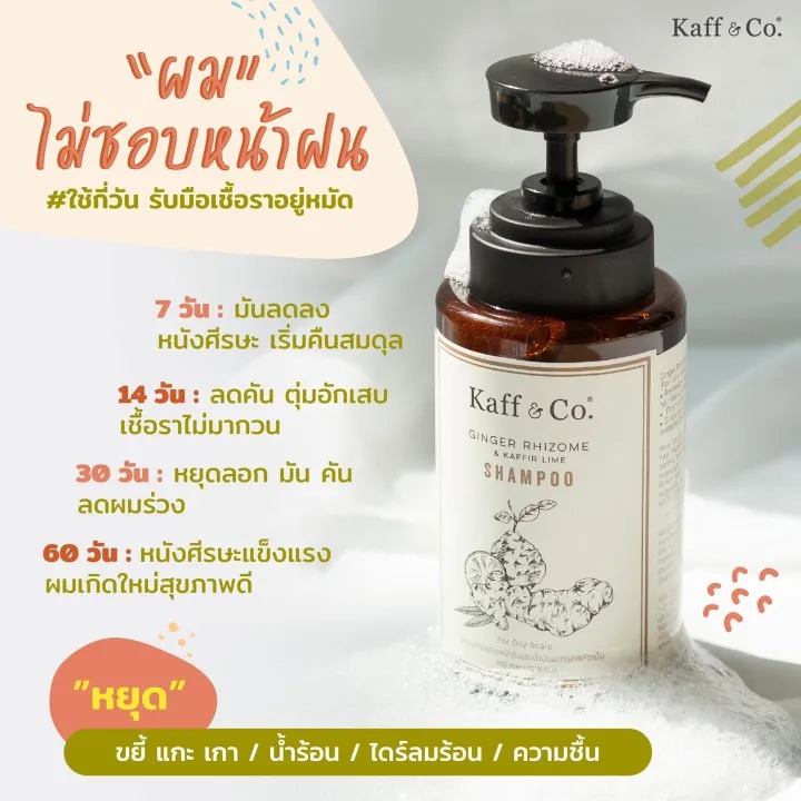 Ginger Rhizome & Kaffir Lime Shampoo  3
