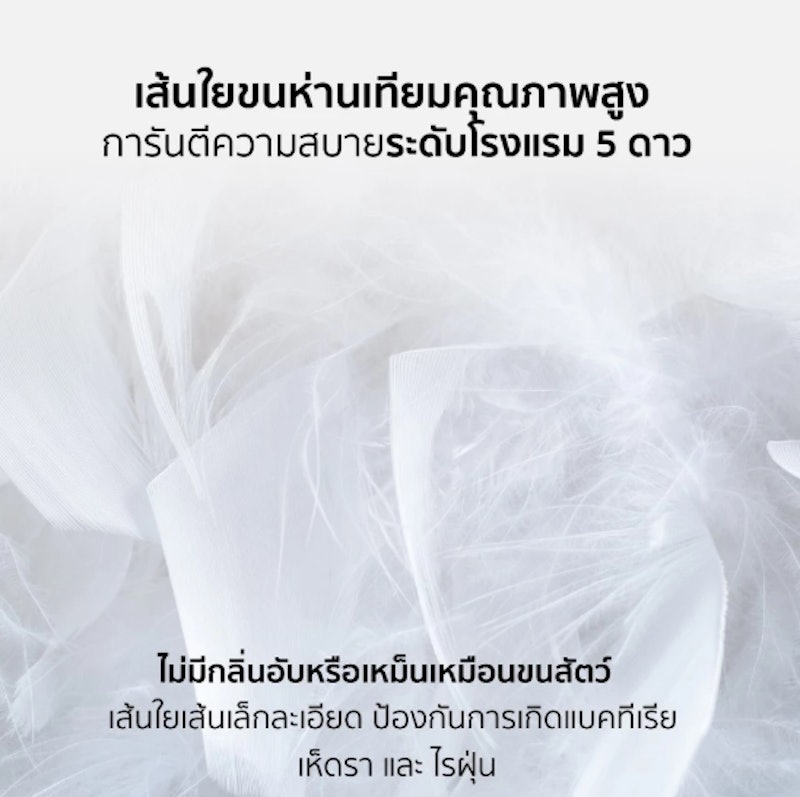 หมอนขนห่านเทียม รุ่น FLY 2