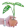 Easy Plant ต้นไม้สำหรับแต่งห้องน้ำ พลูฉลุ 1