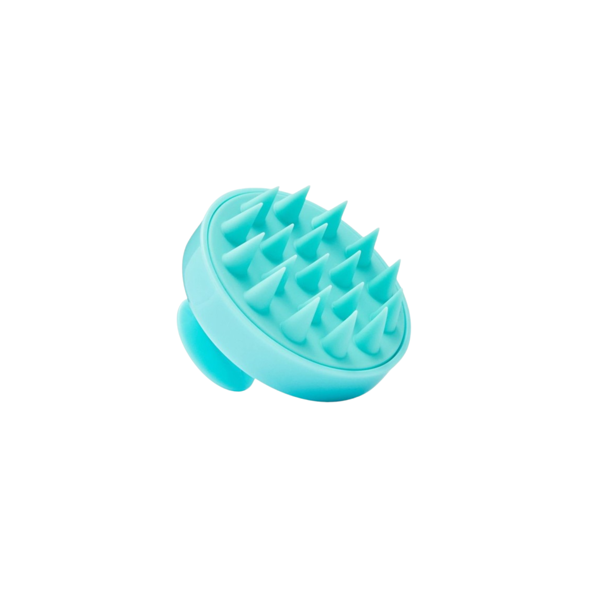 Scalp Scaling Brush 2