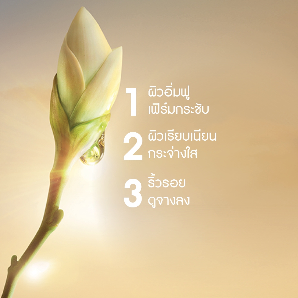 Anti-Aging Global Comfort Cream Night ครีมกลางคืน ลดริ้วรอยแรก 3