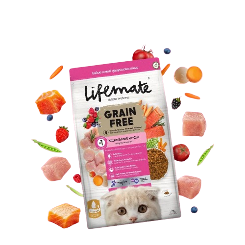 Grain Free Kitten & Mother 1