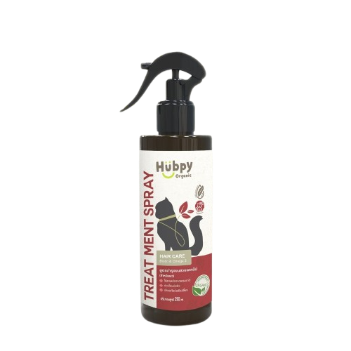 Cat Hair Care 1