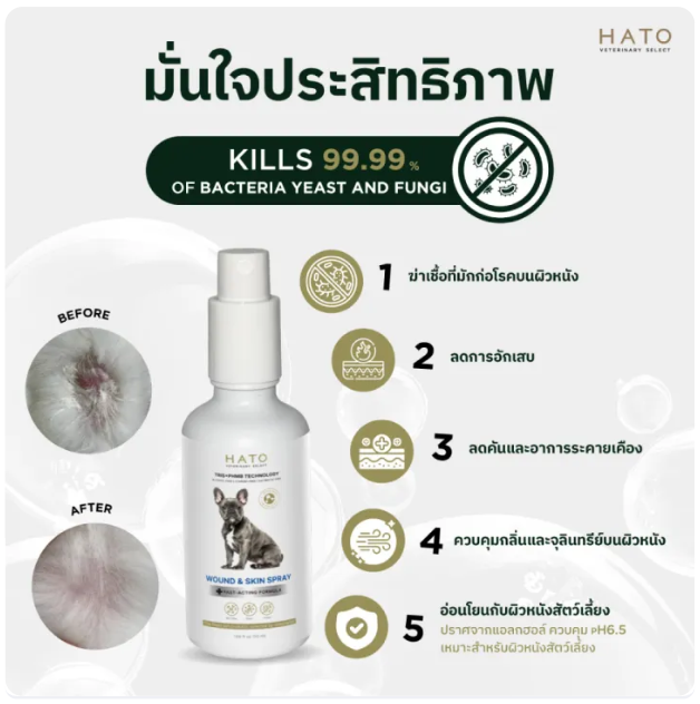 สเปรย์ดูแลผิวหนังและแผล สำหรับสัตว์เลี้ยง Wound & Skin Spray 2