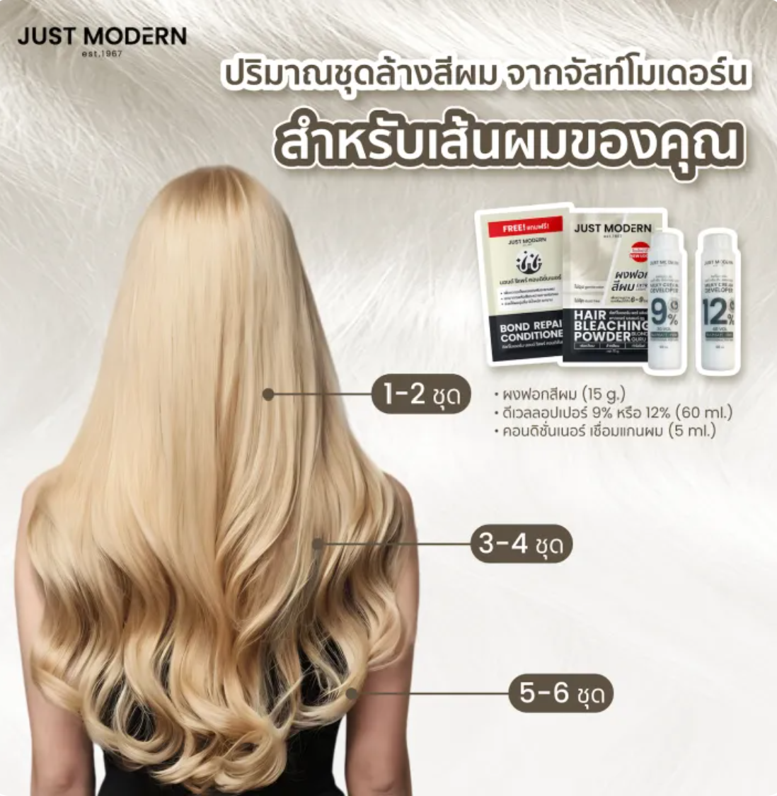 น้ำยากัดสีผม Hair Lightening Set 3