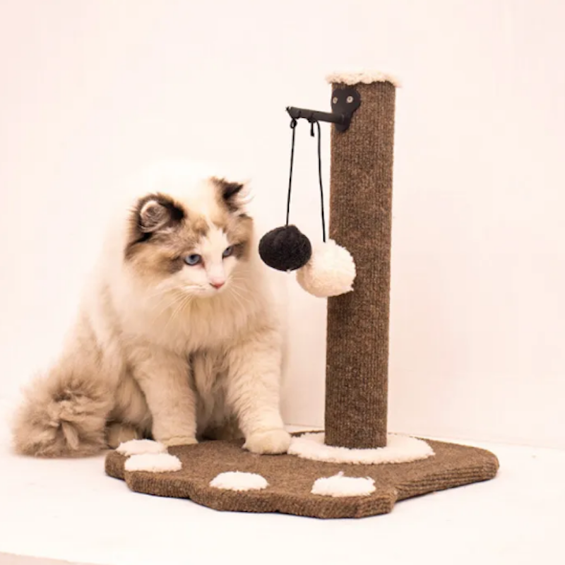 คอนโดน้องแมว ที่ข่วนเล็บแมวแบบเสา 3