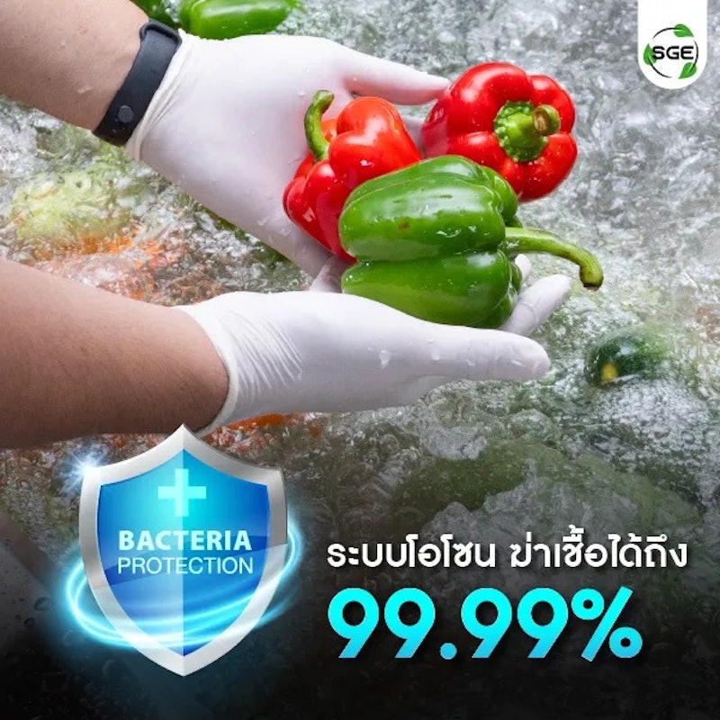 เครื่องล้างผัก อุตสาหกรรม รุ่น VGW 3