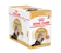 Royal Canin อาหารแมว Persian Pouch Loaf 1