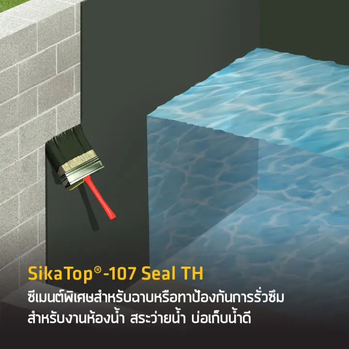 ซีเมนต์กันซึม Top Seal 3