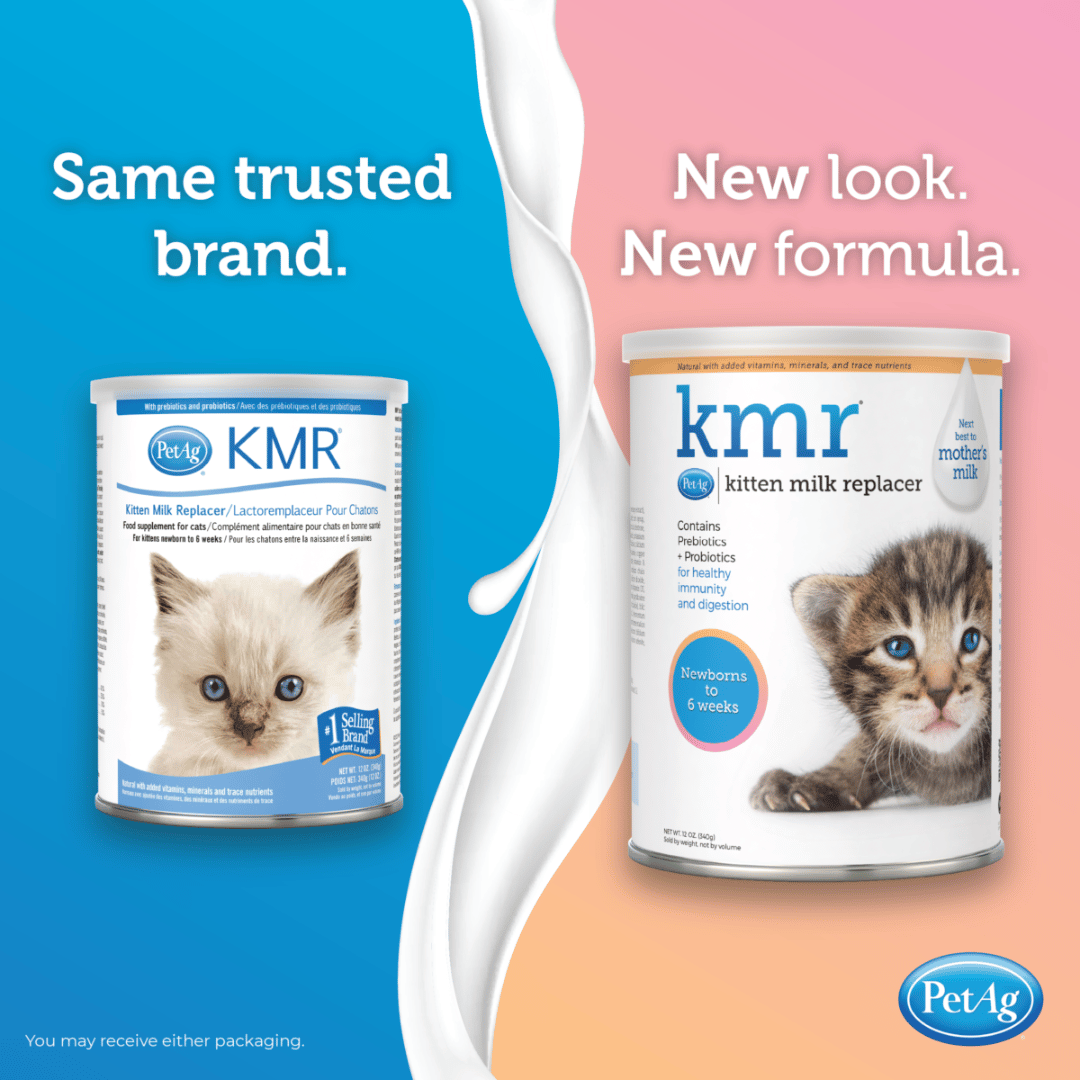นมผงสำหรับลูกแมว KMR Milk Replacement Powder for Kittens 3