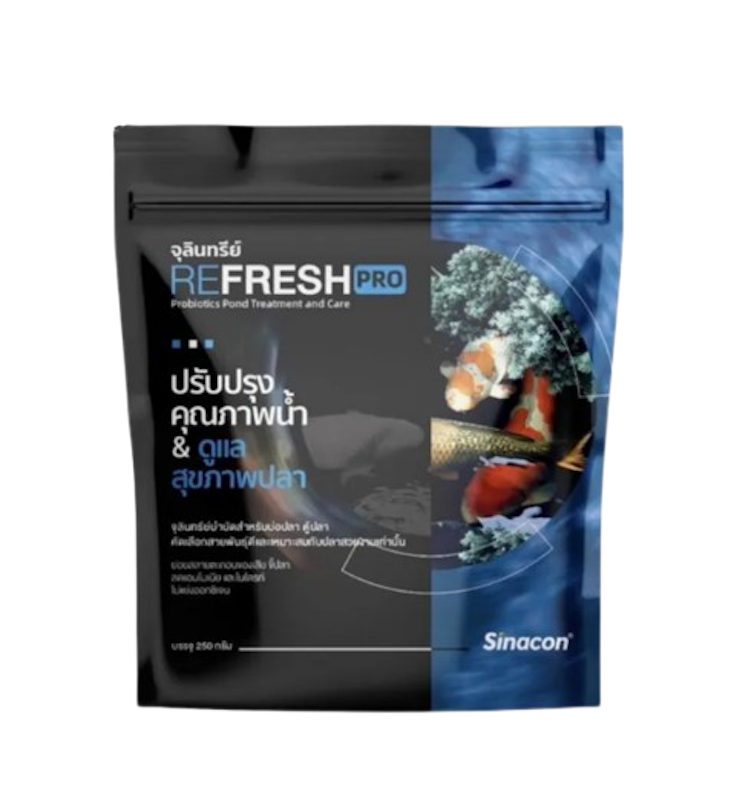 Refresh Pro 1
