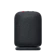 SONY Wireless Speaker In Enclosure 1