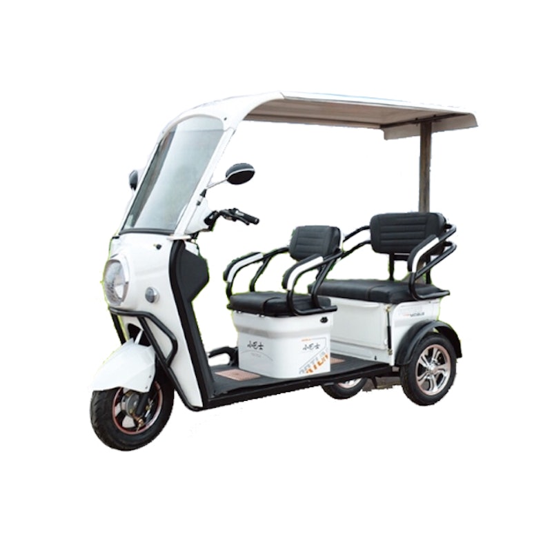 Minibus TTL-500W 1