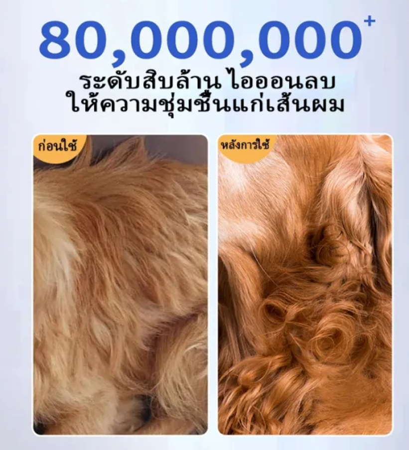 เครื่องเป่าขนสัตว์เลี้ยง 2