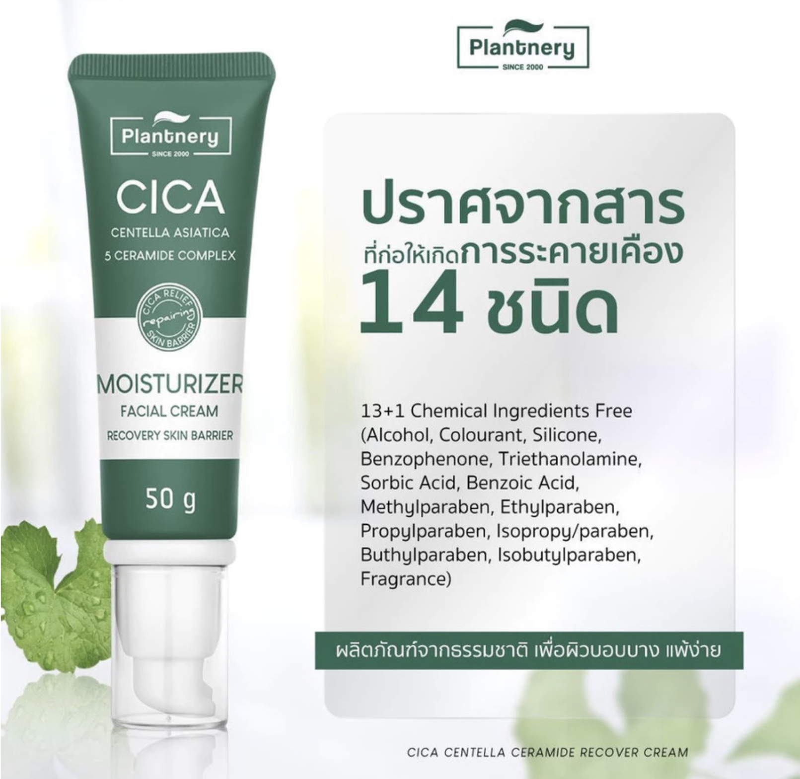 Cica Centella Ceramide Recover Cream 2