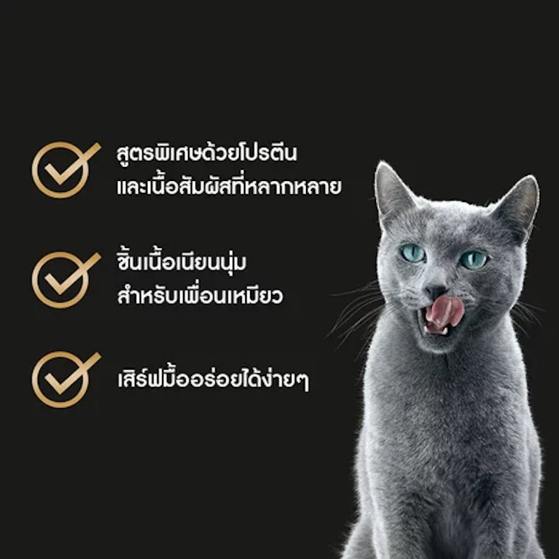 อาหารแมวเปียก 3