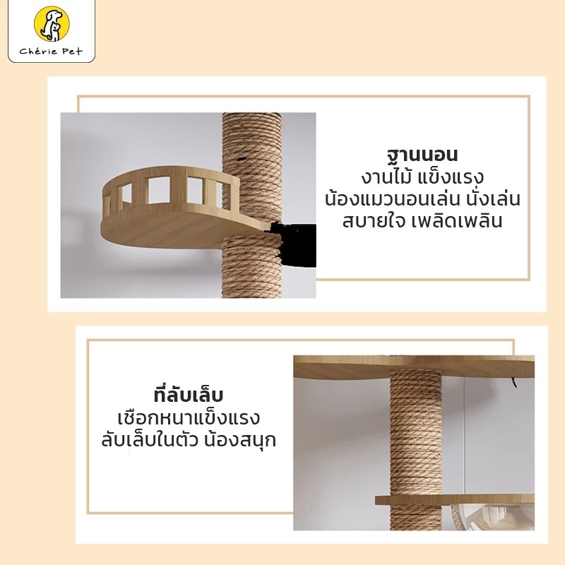 คอนโดแมว เสาปีนป่าย DIY 2