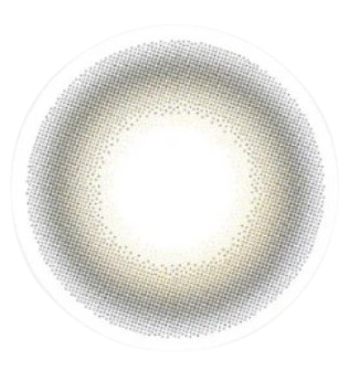 TORIC 1 DAY RE-1 Grey 1