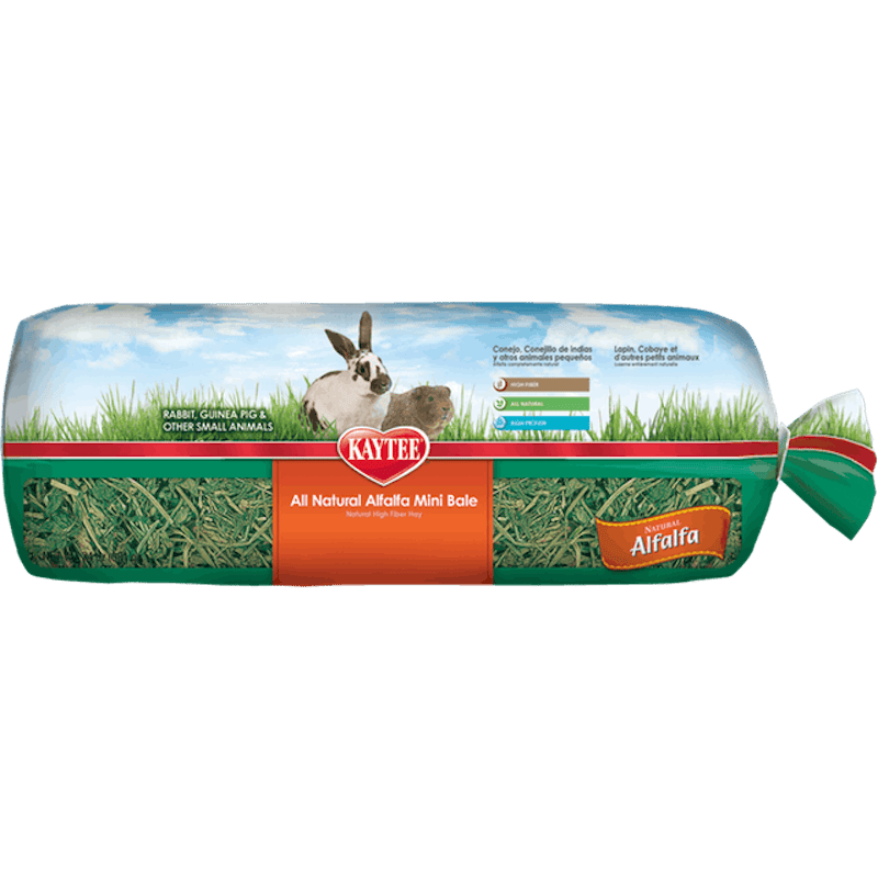 Alfalfa Mini Bale 1