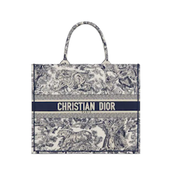 Dior Book Tote