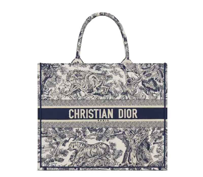 Dior Book Tote 1