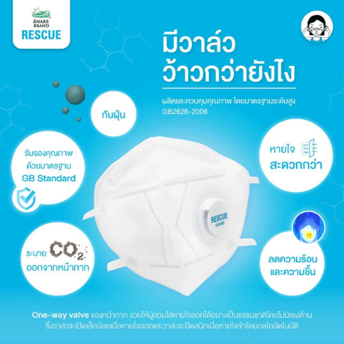 N95 Mask  2