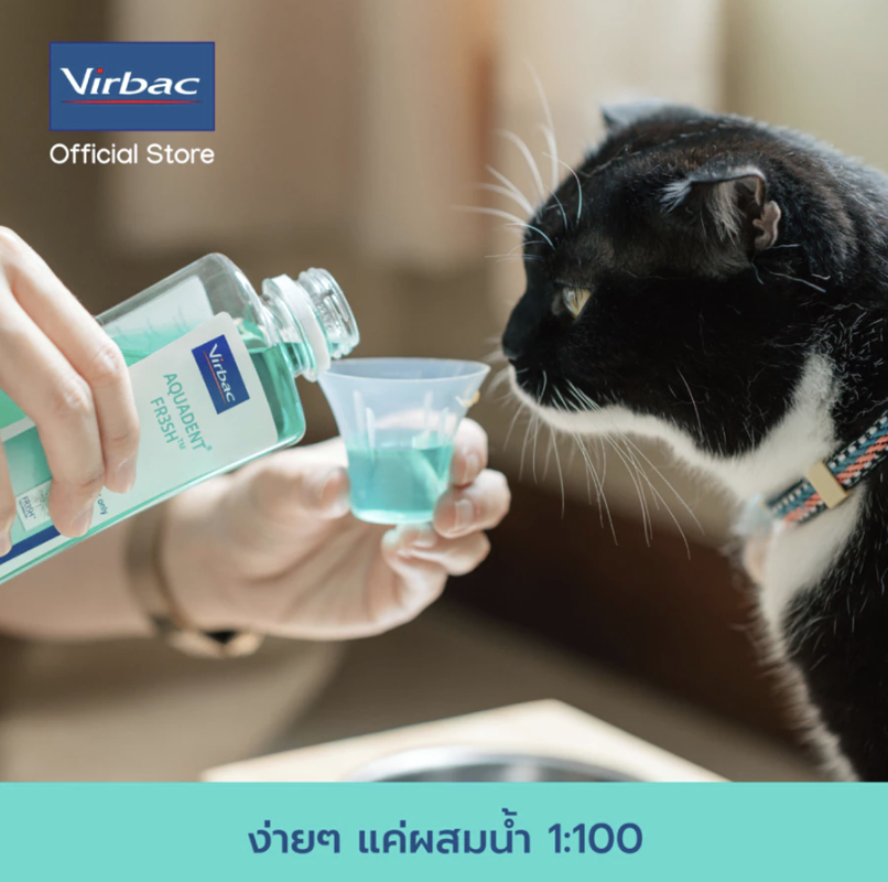 Aquadent® Fresh แก้ปัญหากลิ่นปากแมว 5