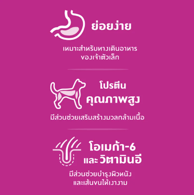 อาหารสุนัขพันธุ์เล็ก Science Diet Adult 7+ Small & Mini 2