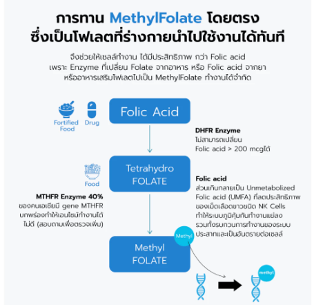 MethylFolate โฟลิกเตรียมตั้งครรภ์ 3