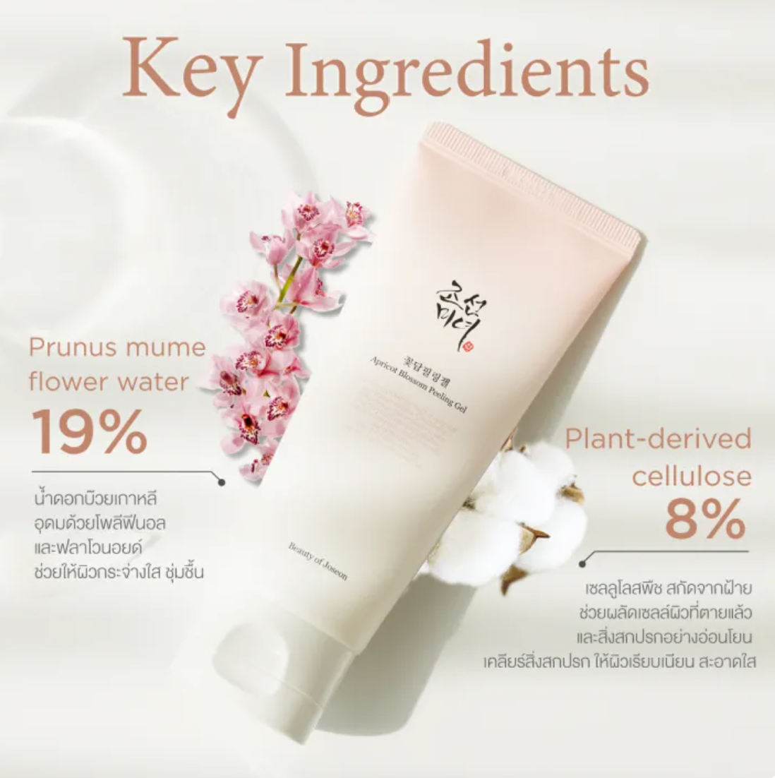 Apricot Blossom Peeling Gel 2