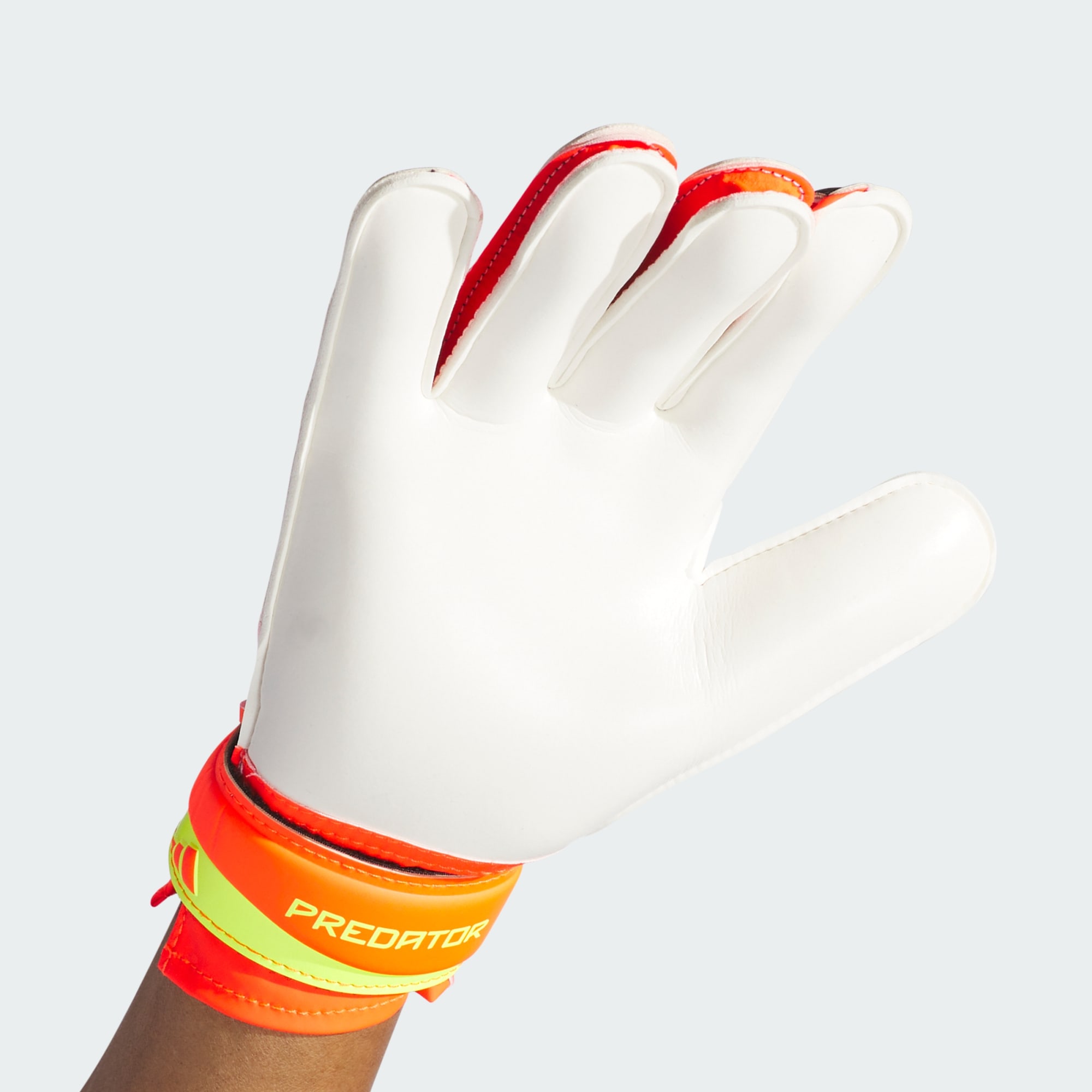Goal Gloves Predator TRN  2