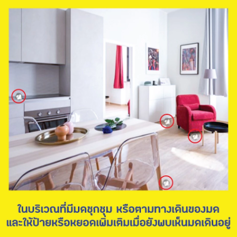 เจลกำจัดมด 3