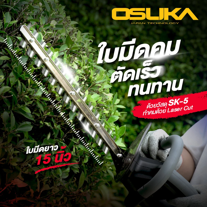 เครื่องตัดแต่งพุ่มไม้ 2