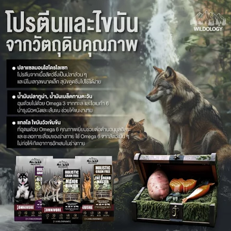 โฮลิสติกเกรนฟรี สำหรับสุนัขสูงวัย 2