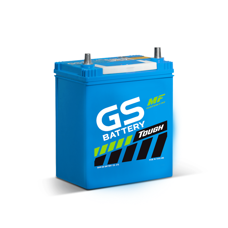 GS MFX-50L 1