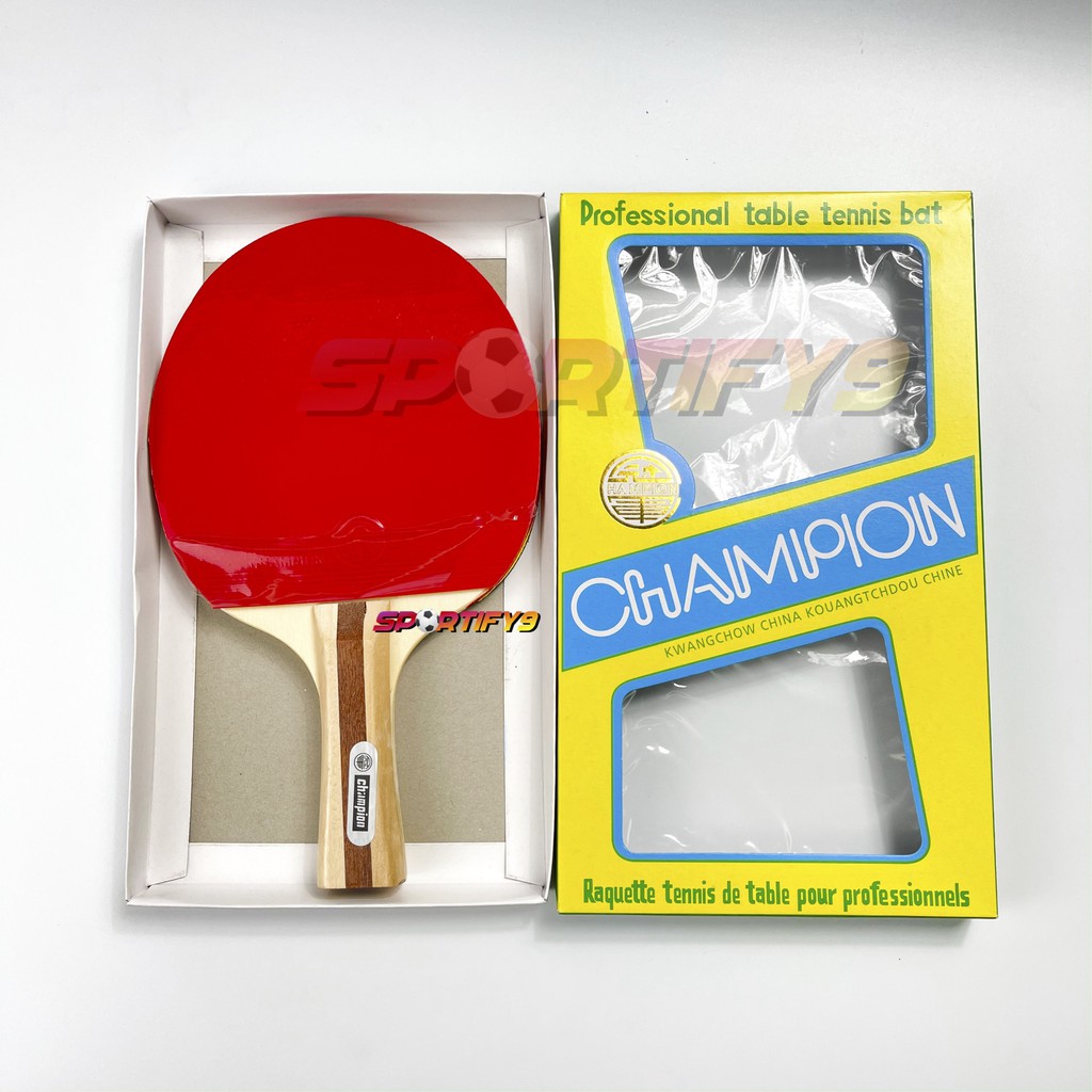 Table Tennis Bad 2