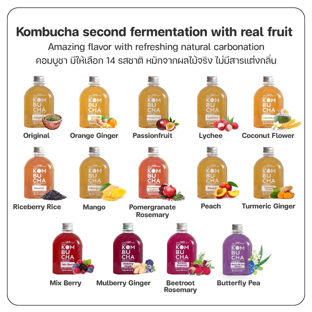 Kombucha  2
