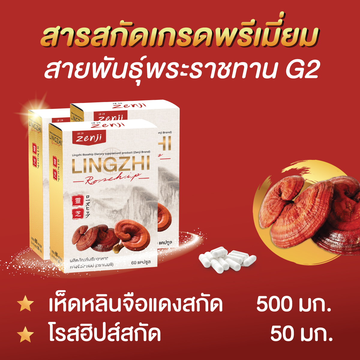 เห็ดหลินจือแดงสกัด 500 mg + โรสฮิปสกัด 2