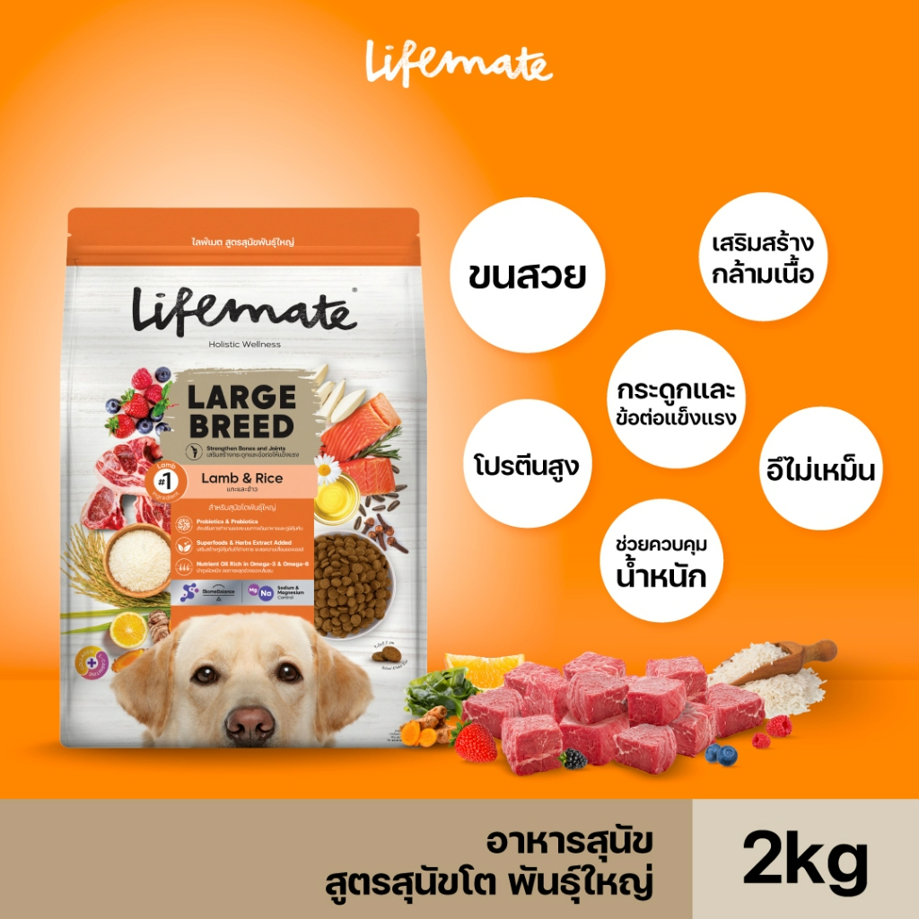 Large Breed 2