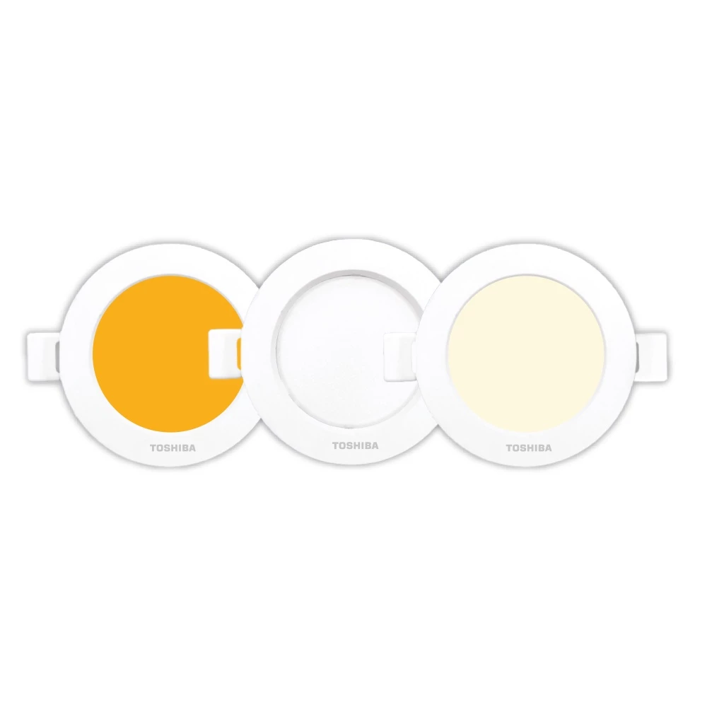 LED Downlight 3