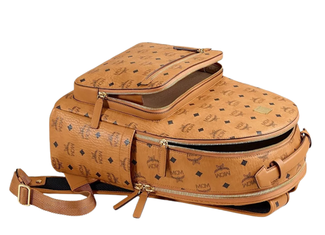 กระเป๋าแบรนด์เนมผู้ชาย รุ่น Stark Backpack in Visetos 2
