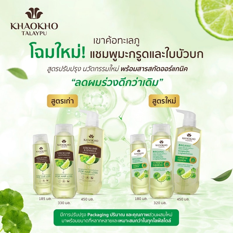 แชมพูปราศจากซิลิโคน Leech Lime & Centella Herbal Shampoo 3