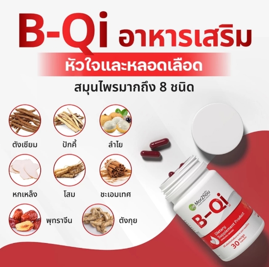 B-Qi 3