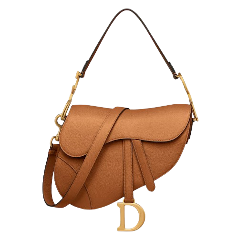Dior Saddle 1