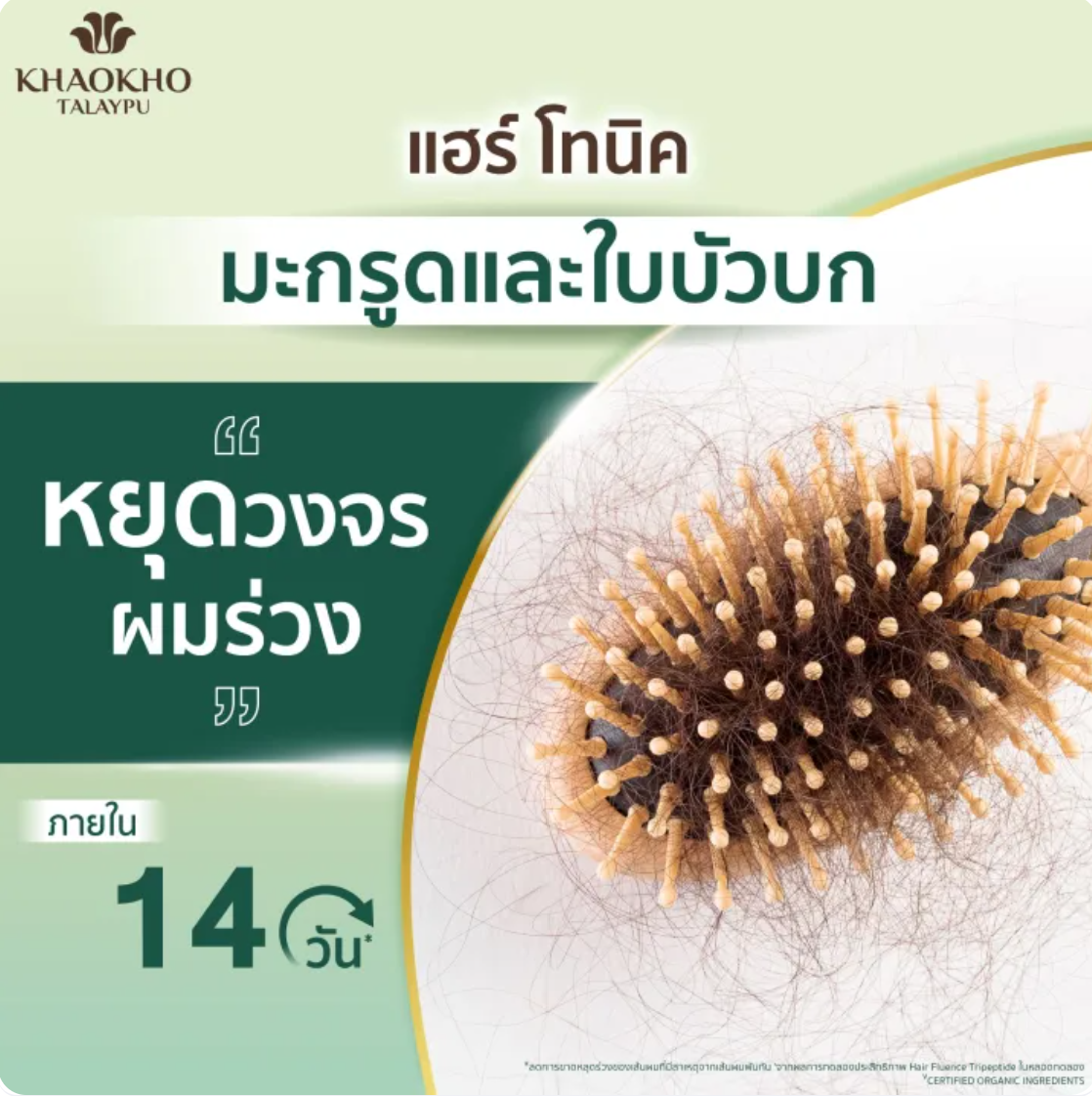Hair Tonic แฮร์โทนิค 2