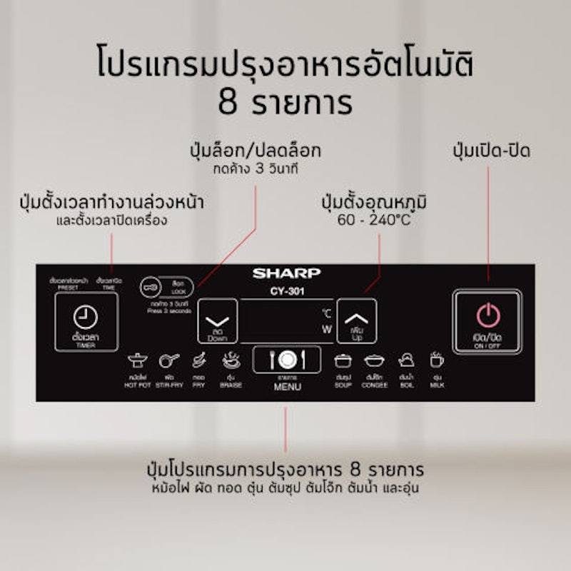 เตาแม่เหล็กไฟฟ้าแบบฝัง 3