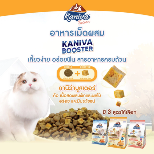 Fusion Cat food อาหารแมวสูตร Beauty 3
