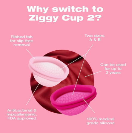 Ziggy Cup™ 2 3