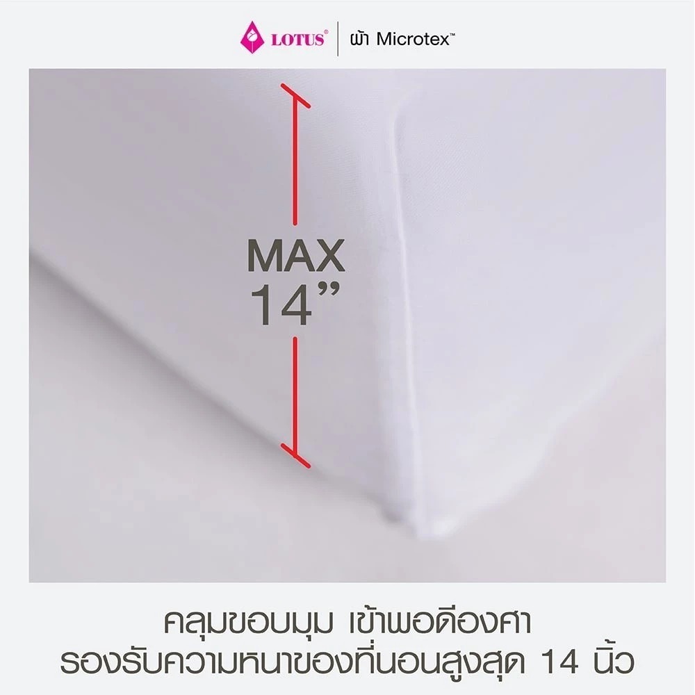 ผ้าปูที่นอน Impression Stripie 3