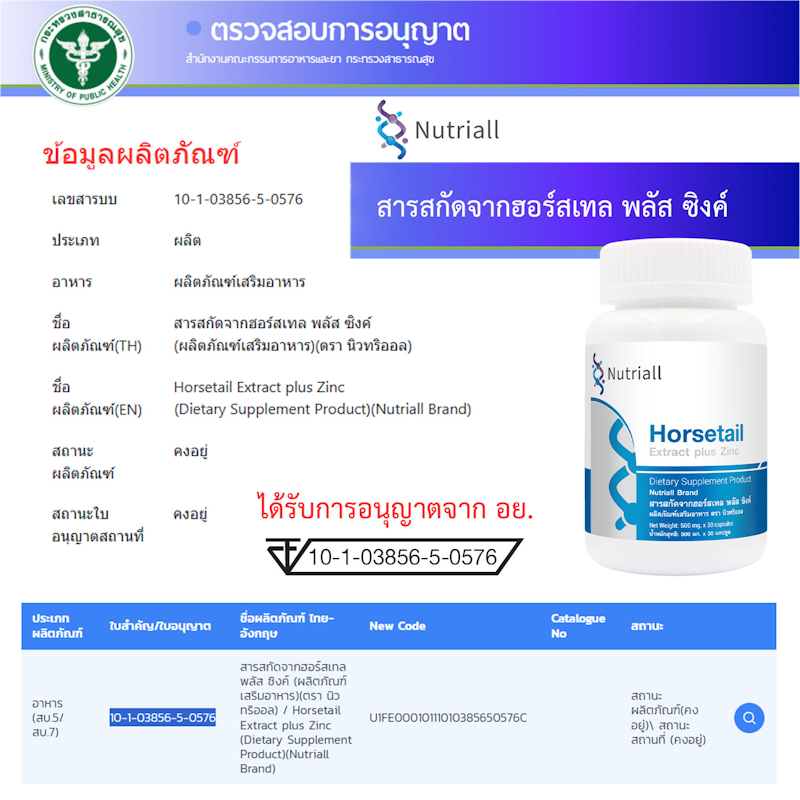 Horsetail Extract Plus Zinc สารสกัดจากหญ้าหางม้า 3